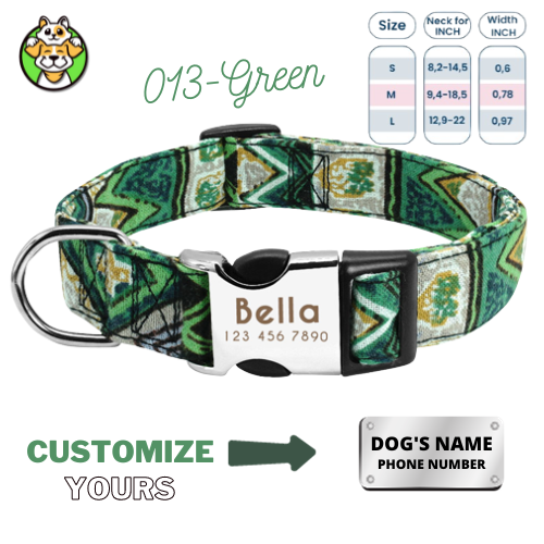 Personalized Dog Collar  With Engraved Name