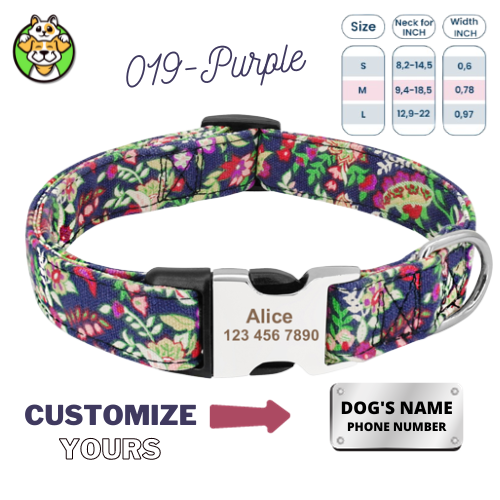 Personalized Dog Collar  With Engraved Name
