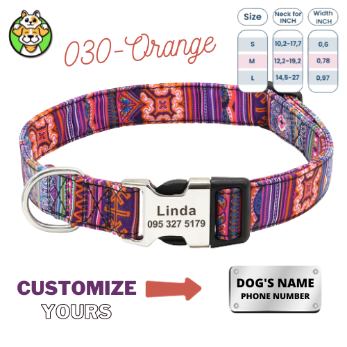 Personalized Dog Collar  With Engraved Name
