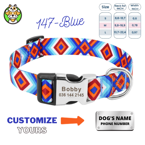 Personalized Dog Collar  With Engraved Name
