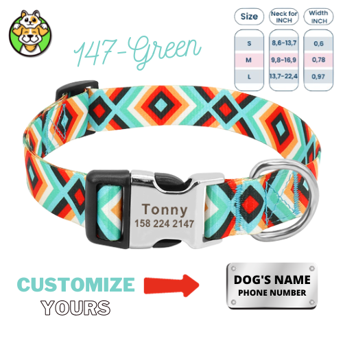 Personalized Dog Collar  With Engraved Name