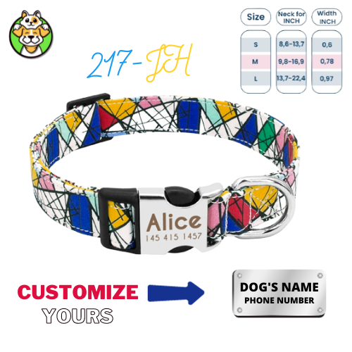 Personalized Dog Collar  With Engraved Name