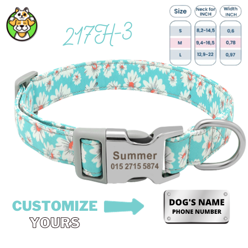 Personalized Dog Collar  With Engraved Name