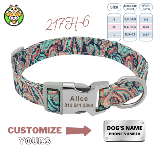 Personalized Dog Collar  With Engraved Name