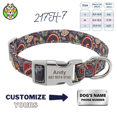 Personalized Dog Collar  With Engraved Name