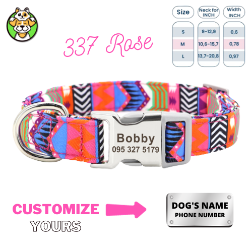 Personalized Dog Collar  With Engraved Name