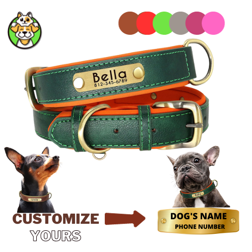 Customized Leather ID Dog Collar
