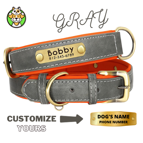 Customized Leather ID Dog Collar