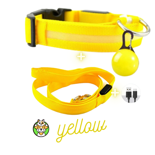Glowing Collar and Leash USB LED