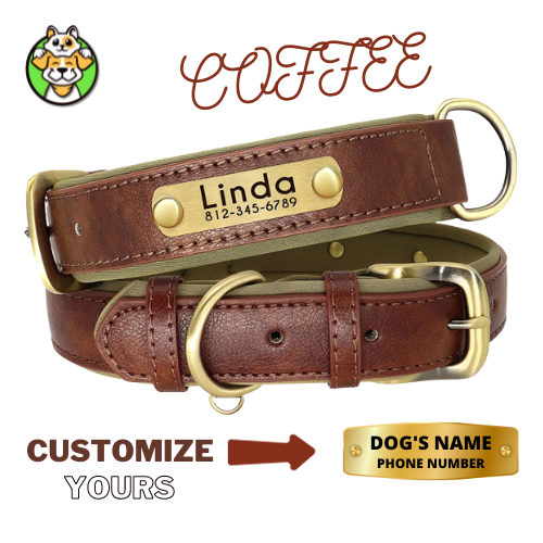 Customized Leather ID Dog Collar