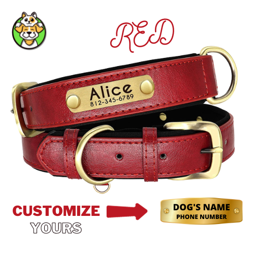 Customized Leather ID Dog Collar