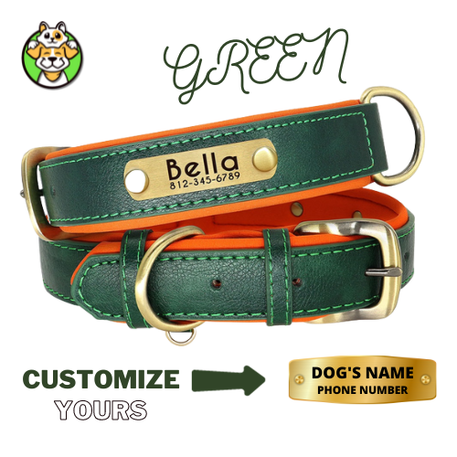 Customized Leather ID Dog Collar