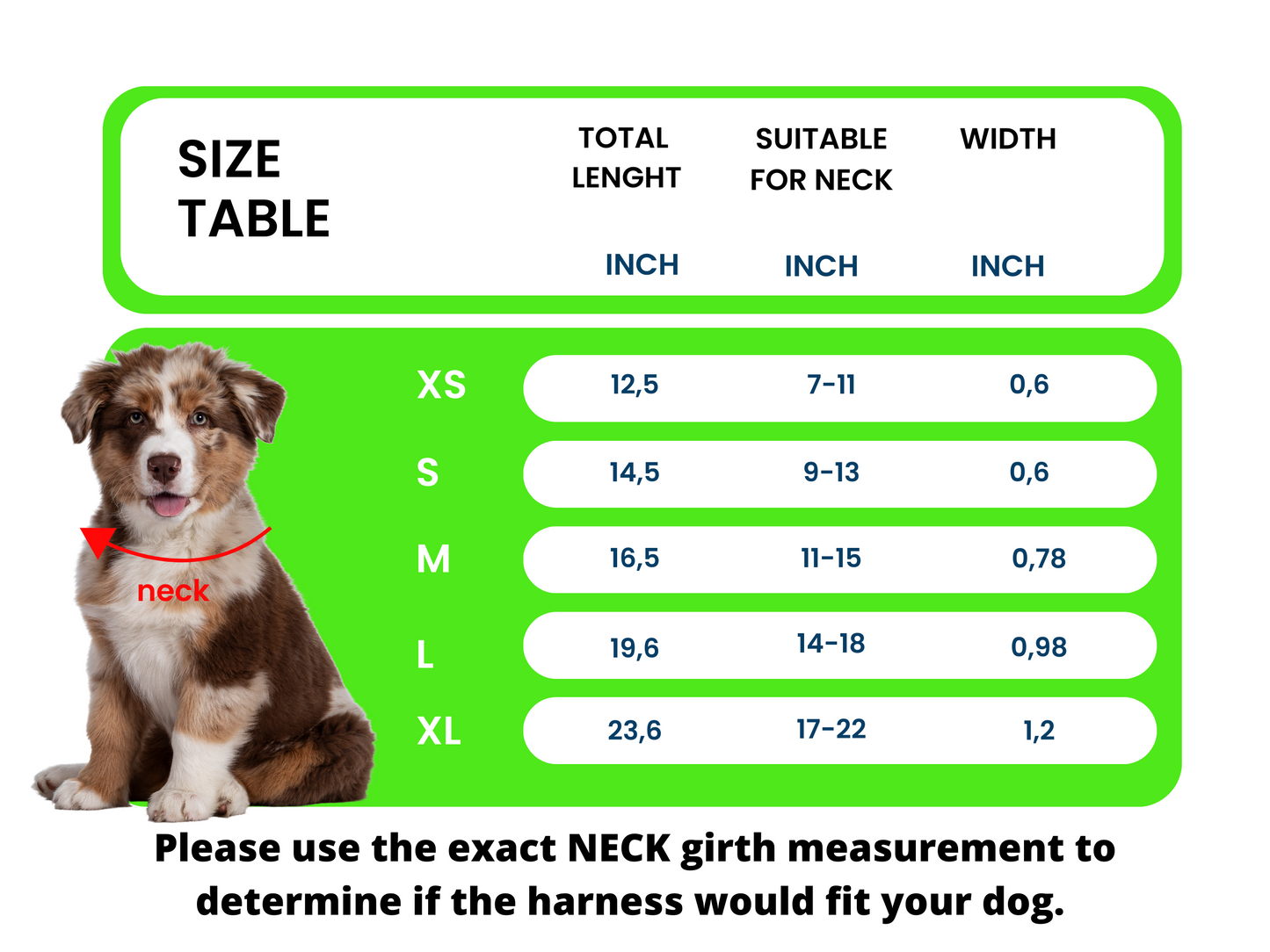 Customized Leather ID Dog Collar