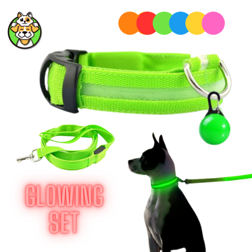 Glowing Collar and Leash USB LED