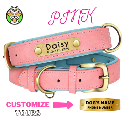 Customized Leather ID Dog Collar