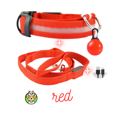 Glowing Collar and Leash USB LED