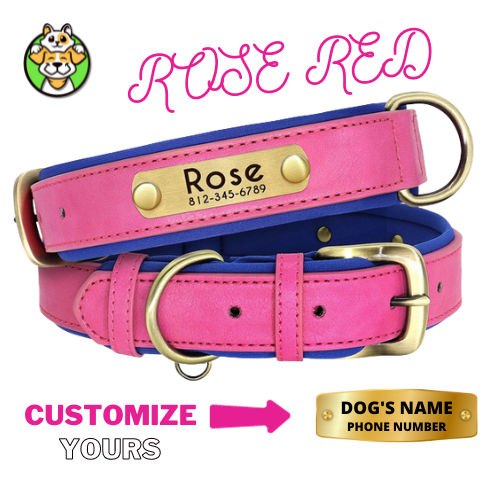 Customized Leather ID Dog Collar
