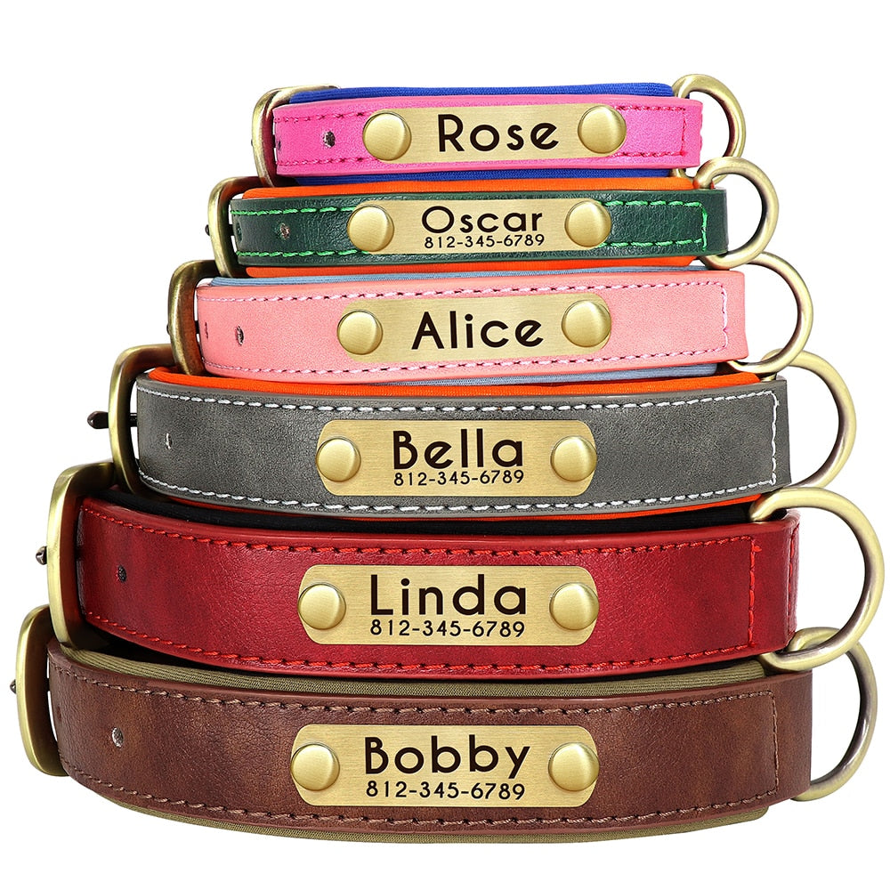 Customized Leather ID Dog Collar