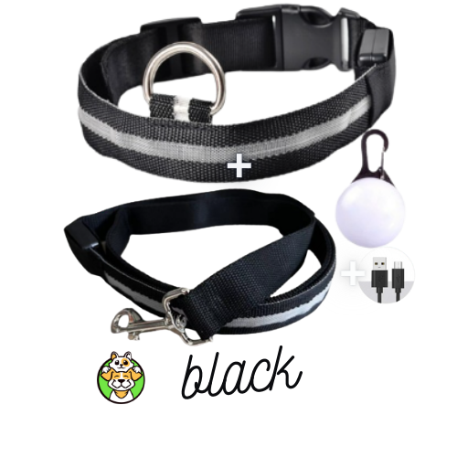 Glowing Collar and Leash USB LED
