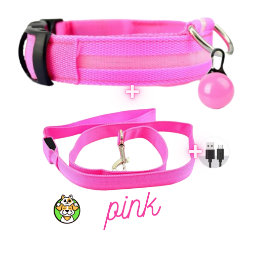 Glowing Collar and Leash USB LED
