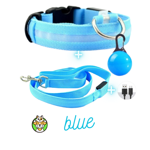 Glowing Collar and Leash USB LED