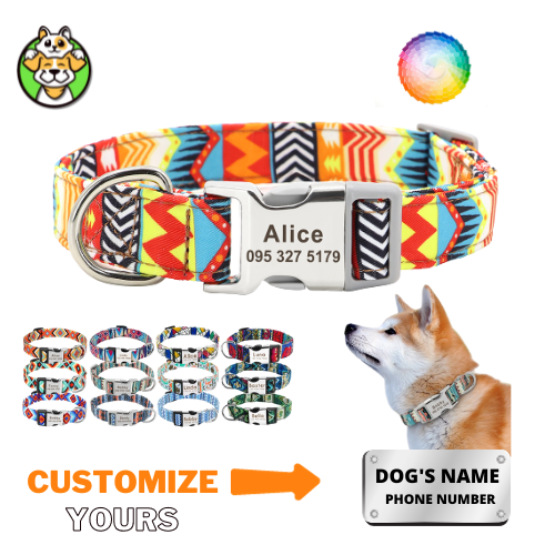 Personalized Dog Collar  With Engraved Name