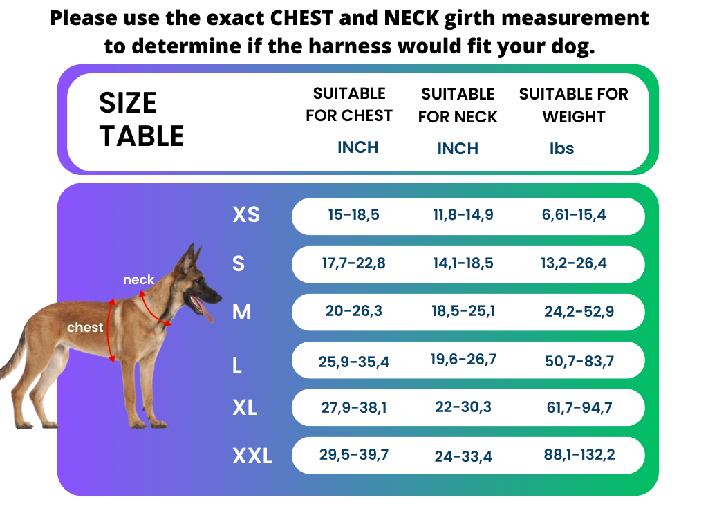 Personalized, Reflective Dog Harness