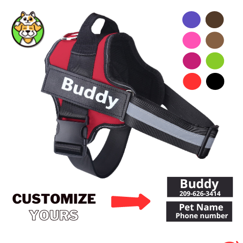 Personalized, Reflective Dog Harness