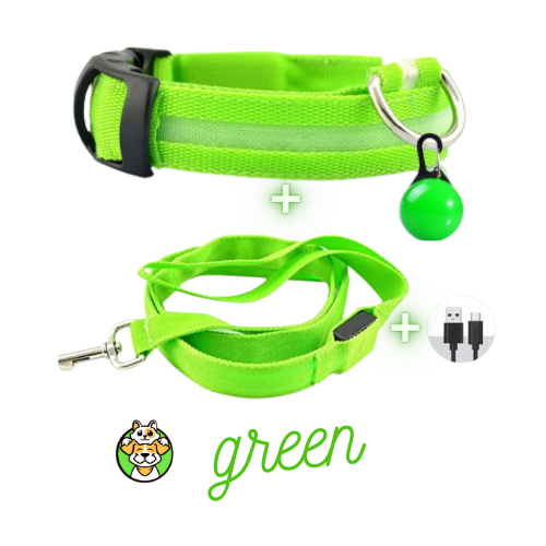 Glowing Collar and Leash USB LED